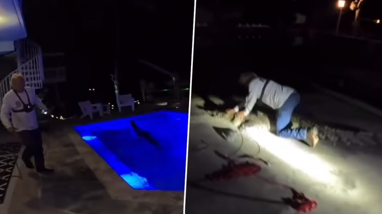 Crocodile Found in Swimming Pool: फ्लोरिडा के एक घर के स्विमिंग पूल में आधी रात को तैर रहा था मगरमच्छ, ऐसे निकाला बाहर
