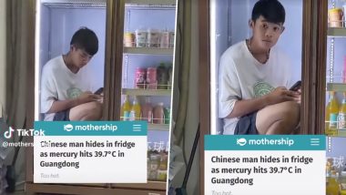 Man Sitting in Fridge to Avoid Heat: चीन में जबरदस्त गर्मी से बचने के लिए फ्रिज में बैठा दिखा शख्स, वीडियो वायरल