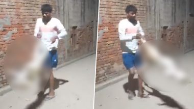 UP: कुत्ते का पैर पकड़कर हवा में घुमाना युवक पर पड़ा भारी, Video वायरल होने के बाद FIR दर्ज