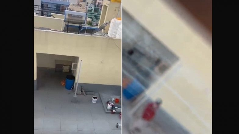 Man Steals Women’s Underwear: बेंगलुरु में महिलाओं के अंडरवीयर चुराकर शख्स छत पर कर रहा था मास्टरबेट, लोगों ने किया रिकॉर्ड
