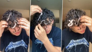 Snake Video: शख्स के घुंघराले बालों में जा फंसा सांप, उसके बाद जो हुआ...देखें वीडियो