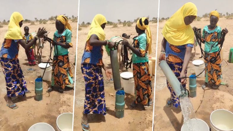 Jugaad Video: आदिवासी महिलाओं ने बंजर जमीन से ऐसे निकाला पानी, वीडियो देख हो जाएंगे दंग