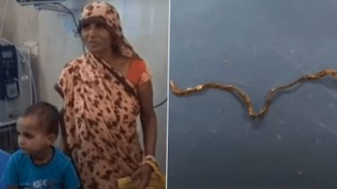 Boy Chews Snake to Death:  यूपी के फर्रुखाबाद में 3 साल के बच्चे ने खेलते-खेलते सांप को चबाकर मार डाला, डॉक्टर हैरान (Watch Video)