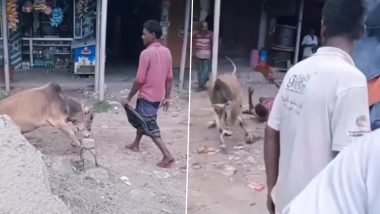 Viral Video: लुंगी पहने शख्स को देख सांड का चढ़ा पारा, गुस्साए जानवर ने उछालकर जमीन पर पटका