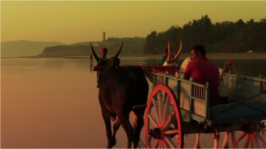 Bullock Cart Race Exciting Video: बैलगाड़ी रेसिंग के दौरान गाड़ी समेत पानी में घुसे दो बैल, खतरनाक वीडियो वायरल