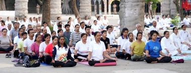 Chandigarh-Haryana Celebrates International Yoga Day 2023: चंडीगढ़, हरियाणा में हजारों लोगों ने किया योग