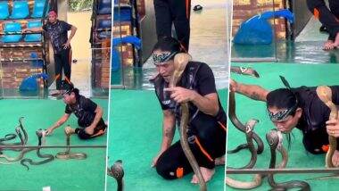 Man kisses King Cobra: खतरनाक किंग कोबरा सांपों से घिरा शख्स, बेखौफ होकर किया नागराज को किस (Watch Viral Video)