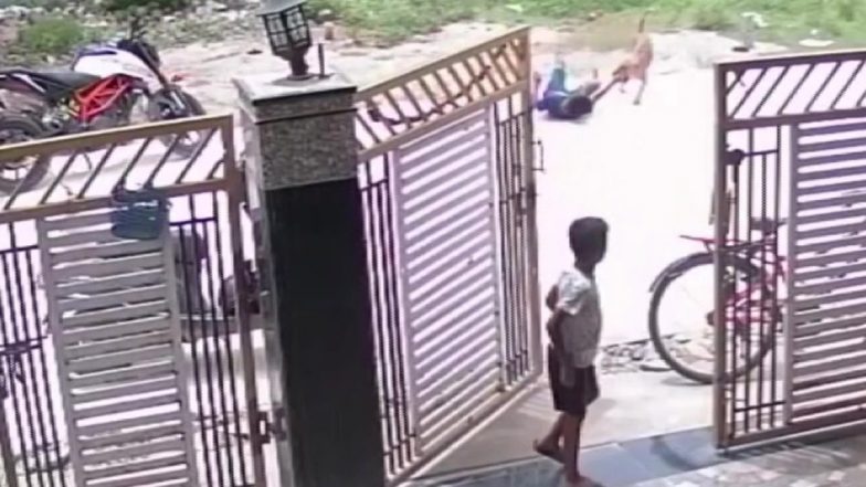 Stray Dog Attack in Hyderabad: हैदराबाद में आवारा कुत्ते का आतंक, घर के बाहर खेल रहे 10 वर्षीय बच्चे पर किया हमला (Watch Video)