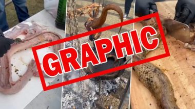 Snake Meat Video: दावत के लिए शख्स ने बनाई सांप के मीट की अनोखी डिश, स्वाद को लेकर नेटिजन्स ने दी मिश्रित प्रतिक्रिया (Graphic Content)