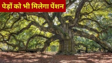 Pension Scheme For Trees: अब पेड़ों को भी मिलेगा पेंशन, जानें हर साल कितने रुपये देगी हरियाणा सरकार