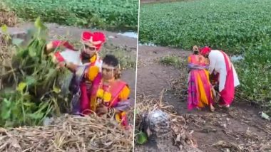 Maharashtra: कोल्हापुर में पंचगंगा को प्रदूषण मुक्त करने के लिए नवविवाहित दंपत्ति की पहल, शादी होते ही किया यह काम, देखें VIDEO