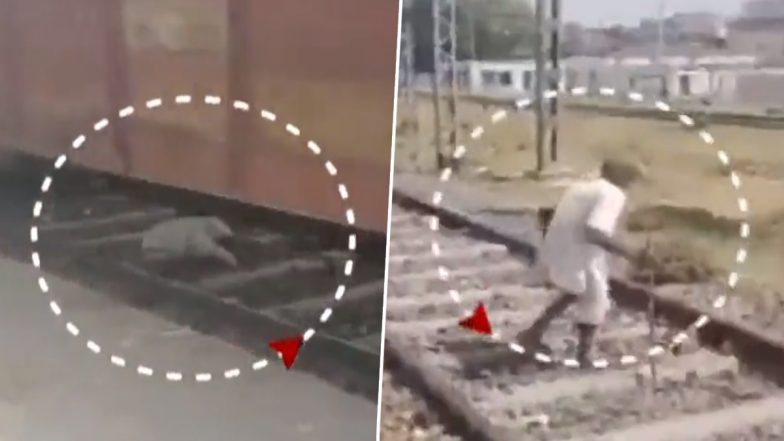 VIDEO: चमत्कार! बिहार के गया में बुजुर्ग के ऊपर से गुजर गई मालगाड़ी, लेकिन एक खरोच तक नहीं आई, लोग हैरान