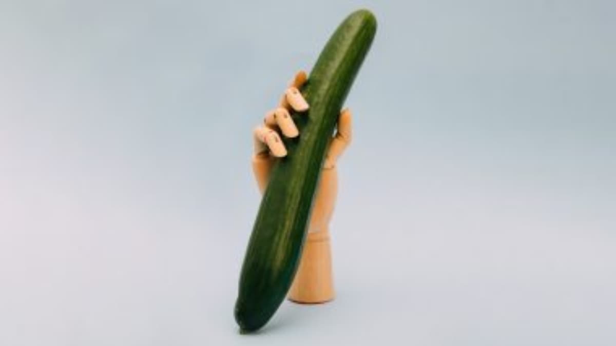 Stone Penis: पुरातत्वविदों ने खोजा 6 इंच के पत्थर का पेनिस, मध्यकाल में इस काम के लिए होता था उपयोग