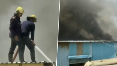 Pune Godown Fire Video: महाराष्ट्र के पुणे में गोदाम में लगी भीषण आग, काबू पाने की कोशिश जारी