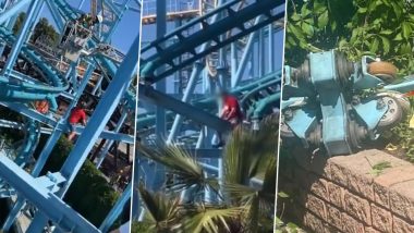 Roller Coaster Derails In Sweden: स्वीडन के मनोरंजन पार्क में हादसा, रोलर कोस्टर के पटरी से उतरने से एक की मौत, 9 घायल- Video