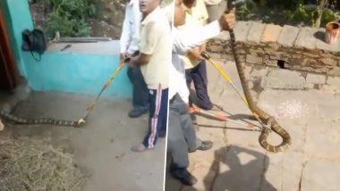 King Cobra Viral Video: घर में घुसा जहरीला किंग कोबरा, सांप को रेस्क्यू करने में छूटे वन विभाग अधिकारियों के पसीने