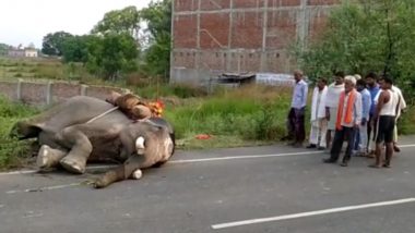 Speeding Truck Hit An Elephant in UP: आजमगढ़ में बेजुबान हाथी को तेज रफ़्तार ट्रक ने मारी टक्कर, बुरी तरह जख्मी, देखें वीडियो