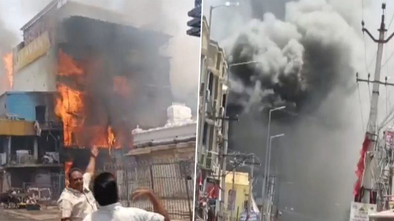 Tirupati Fire: तिरुपति में फोटो फ्रेम मैन्युफैक्चरिंग यूनिट में लगी भीषण आग (Watch Video)