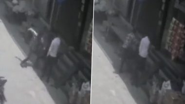 VIDEO: बदरपुर में शाहबाद डेयरी जैसी वारदात, बीच सड़क लड़के पर चाकू से वार करते रहे दो शख्स, दर्शक बने रहे लोग