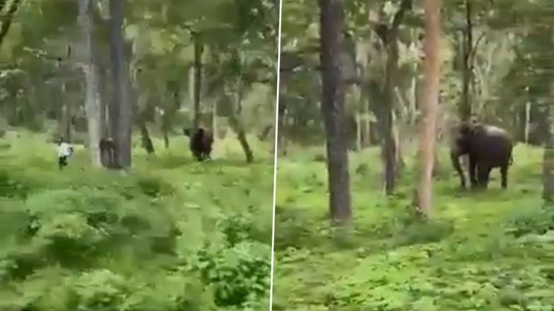 Viral Video: तस्वीरें लेने के लिए हाथी के करीब पहुंचा शख्स, गुस्साए गजराज ने कर दिया अटैक