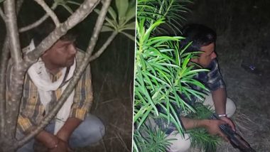 UP: यमुना एक्सप्रेस वे पर पत्थरबाज गैंग कर रहा लूटपाट, पकड़ने के लिए पेड़ों और खेतों में घात लगाए बैठी है पुलिस (Watch Video)
