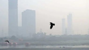 Delhi Pollution: दिल्ली नगर निगम ने एक से 10 नवंबर के बीच खुले में अपशिष्ट जलाने के 383 चालान काटे