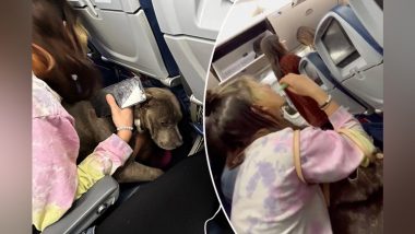 Pitbull Dog In Plane Video: फ्लाइट में पिटबुल कुत्ते ने किया सफर, उसकी मालकिन ने ई-सिगरेट का लगाया कश