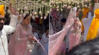 Sonnalli Seygall Wedding: सोनाली सहगल ने सज धजकर अपने डॉग के साथ शादी के हॉल में ली एंट्री, Ashesh Sajnani के साथ एक्ट्रेस लेंगी सात फेरे (Watch Video)