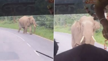 Elephant Charged Towards Bus: यात्रियों से भरी बस की ओर गुस्से में बढ़ा हाथी, उसके बाद जो हुआ, देखें वीडियो