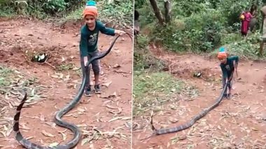 Little Boy Plays With Giant Cobra: विशाल कोबरा के साथ खेलता दिखा छह साल का बच्चा, शॉकिंग वीडियो वायरल