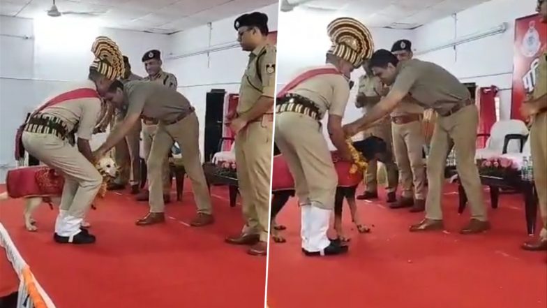 Sniffer Dogs Gets Grand Farewell: एमपी में सर्च डॉग्स को पुलिस से मिली भव्य विदाई, देखें रिटायरमेंट वीडियो