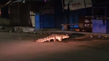 Rajasthan Crocodile Viral Video: कोटा में सड़क पार करते देखा गया विशाल मगरमच्छ, जानवर को देखते ही रूकीं गाड़ियां