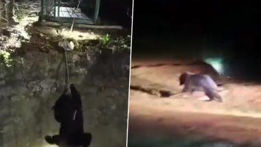 Bear Falls Into Well: खुले कुएं में गिरा भालू, वन अधिकारियों ने ऐसे किया रेस्क्यू