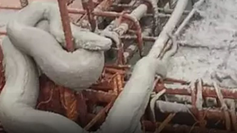 Mumbai: घाटकोपर में बिल्डिंग की 13वीं मंजिल की छत पर चढ़ा इंडियन रॉक पायथन, किया गया रेस्क्यू