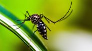 Bangladesh Dengue Outbreak: बांग्लादेश में डेंगू का प्रकोप, मरने वालों की संख्या 1000 के पार पहुंची, दहशत में लोग