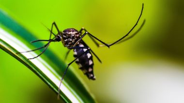 डेंगू ने मचाया आतंक, भारत 2023 में डेंगू से सबसे अधिक मौतों वाले देशों में शामिल: रिपोर्ट