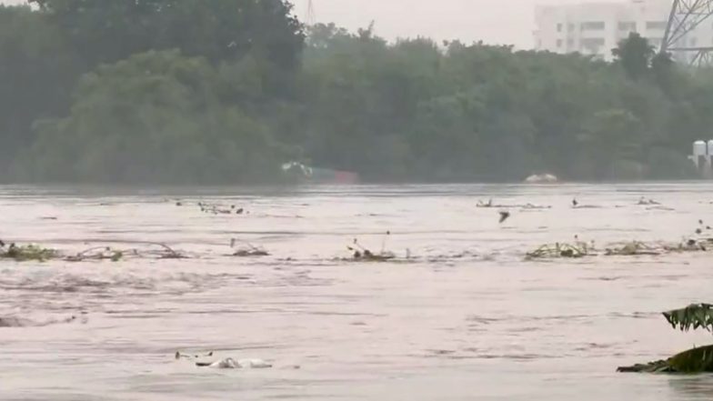 Flood Fear in Delhi: यमुना का जल स्तर 207 मीटर के पार, बना हुआ है बाढ़ का डर, देखें वीडियो