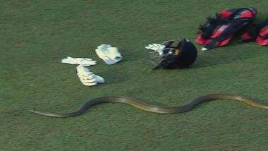 Snake Enters Ground: लंका प्रीमियर लीग मैच के दौरान स्टेडियम में सांप घुसने से रुका खेल, देखें वायरल वीडियो