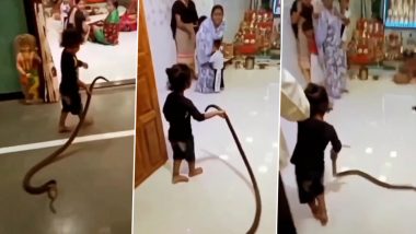 Toddler Playing With Snake: सांप के साथ खिलौने की तरह खेलने वाले बच्चे का क्लिप वायरल, वीडियो देख सभी दंग