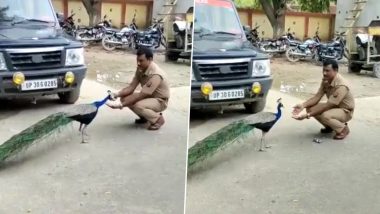UP Cop Friendship With Peacock Video: हरदोई में पुलिसकर्मी मोर के साथ शेयर करता है स्पेशल बॉन्डिंग, देखें वायरल वीडियो