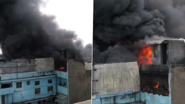 Delhi Shoe Factory Fire Video: दिल्ली के उद्योग नगर में जूता की फैक्ट्री में लगी आग, मौके पर दमकल की गाड़ियां मौजूद
