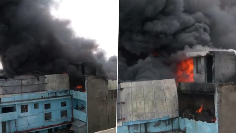 Delhi Shoe Factory Fire Video: दिल्ली के उद्योग नगर में जूता की फैक्ट्री में लगी आग, मौके पर दमकल की गाड़ियां मौजूद