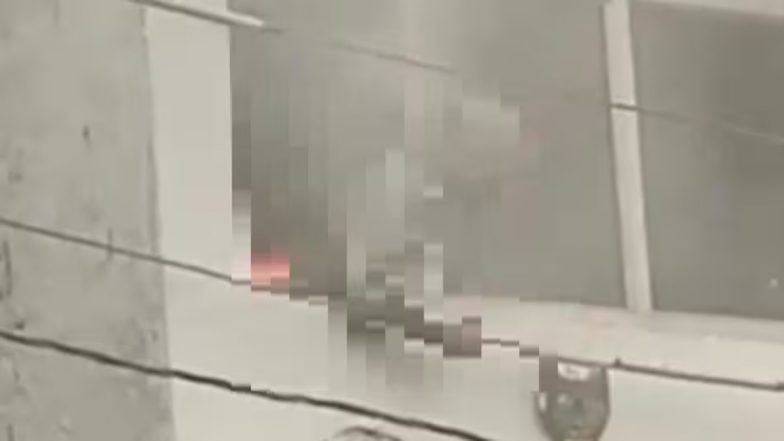 Shocking Video: यूपी में हाई-टेंशन तार छूने से जिंदा जली बुजुर्ग महिला, हादसे का खौफनाक वीडियो आया सामने