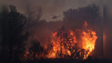 Hawaii Wildfires Video: अमेरिका में हवाई द्वीप के जंगलों में आग का तांडव, 115 की मौत, 385 लोग लापता, देखें वीडियो