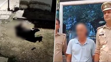 Kanpur Cow Rape Video: कानपुर में रात के अंधेरे में बेजुबान गाय से घिनौना कृत्य का प्रयास, CCTV में कैद होने के बाद 57 वर्षीय आरोपी गिरफ्तार