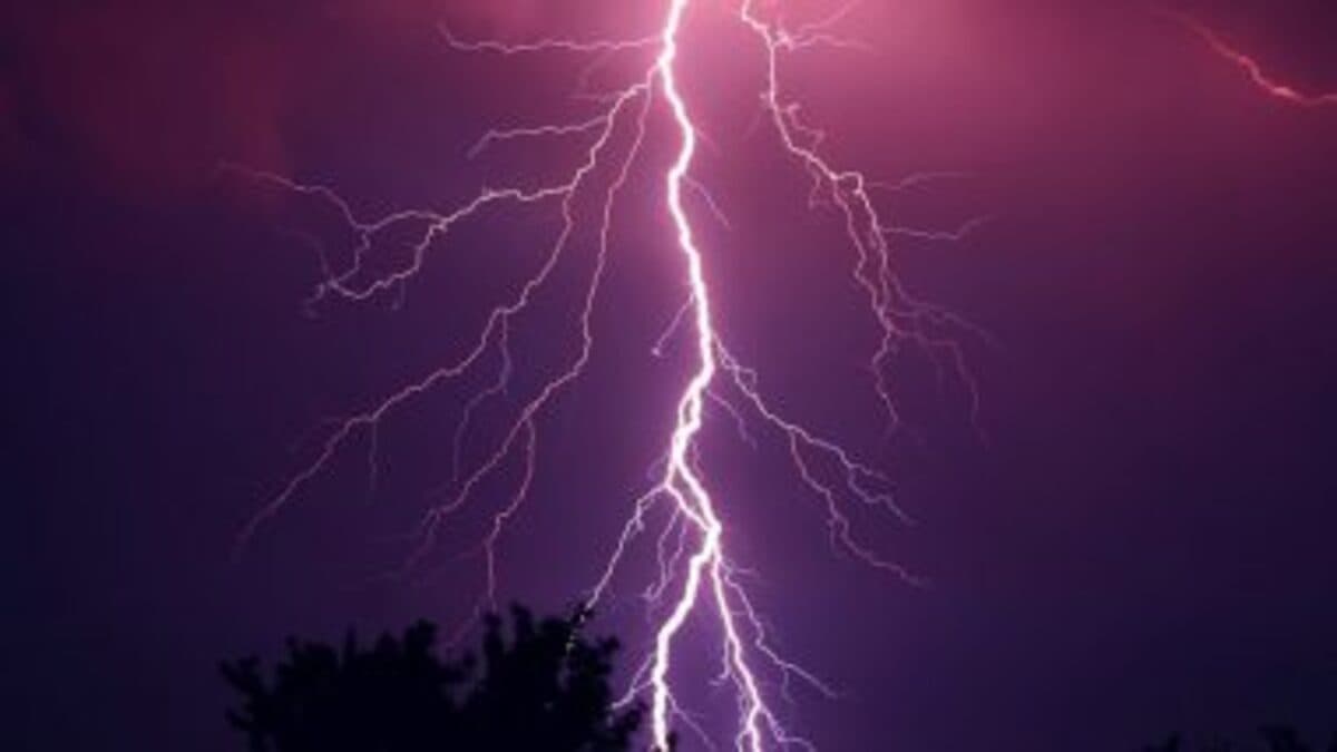 Lightning Strike Kills Five: महाराष्ट्र के चंद्रपुर जिले में आकाशीय बिजली गिरने से पांच लोगों की मौत