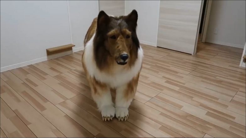 Man Became Dog Video: 11 लाख रुपए खर्च कर शख्स ने खुद को बनाया कुत्ता, कहा- बचपन से ही जानवर बनने का था सपना