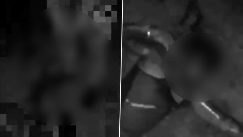 UP Urination Viral Video: इंसानियत शर्मसार! आगरा में खून से लथपथ जमीन पर पड़े बेहोश व्यक्ति पर शख्स ने किया पेशाब, वीडियो वायरल होने पर गिरफ्तार