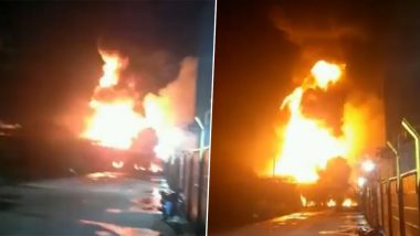Fire In Palghar Chemical Company: पालघर के तारापुर इंडस्ट्रियल इलाके में केमिकल की कंपनी में लगी आग, काबू पाने की कोशिश जारी- Video