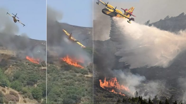 Plane Crash VIDEO: प्लेन क्रैश का लाइव वीडियो आया सामने, जमीन पर गिरते ही हुआ तेज धमाका, 2 पायलटों की मौत